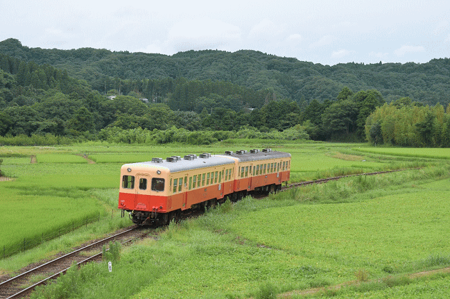 小湊鉄道(菜の花撮影地にて)