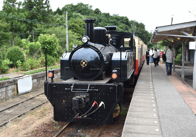 里山トロッコ列車の「SL」を撮影