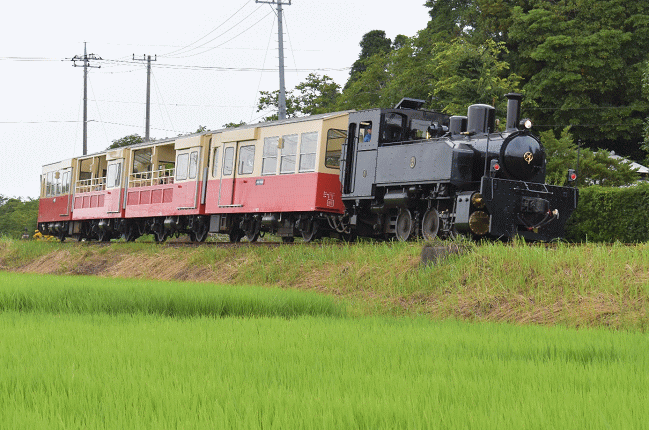 高滝駅近くで里山トロッコ列車を撮影
