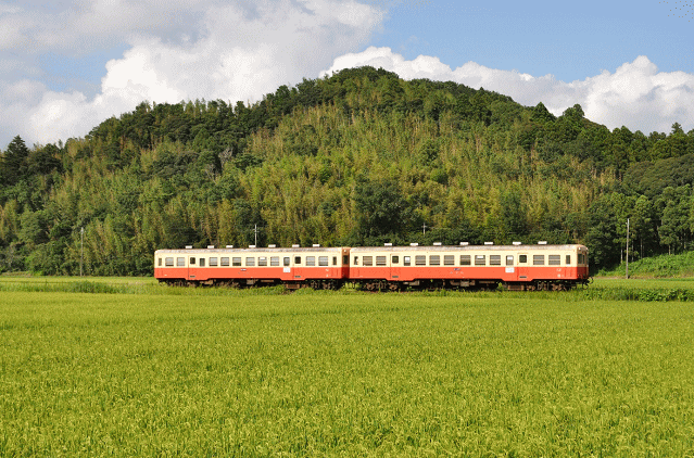 走行中の小湊鉄道キハ200形