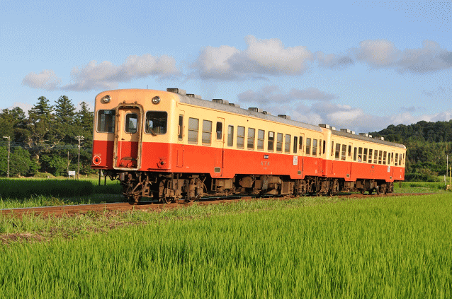 上総鶴舞駅近くの柳町踏切からキハ200形を撮影