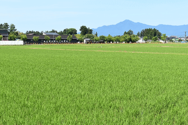 くびき野レールパークの南側の田園地帯