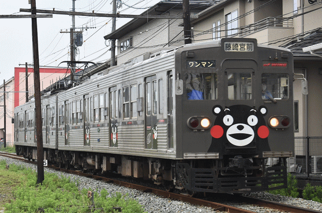 熊本電鉄のくまモンラッピング電車