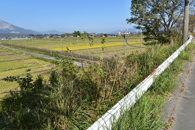 三岐鉄道の定番の撮影地
