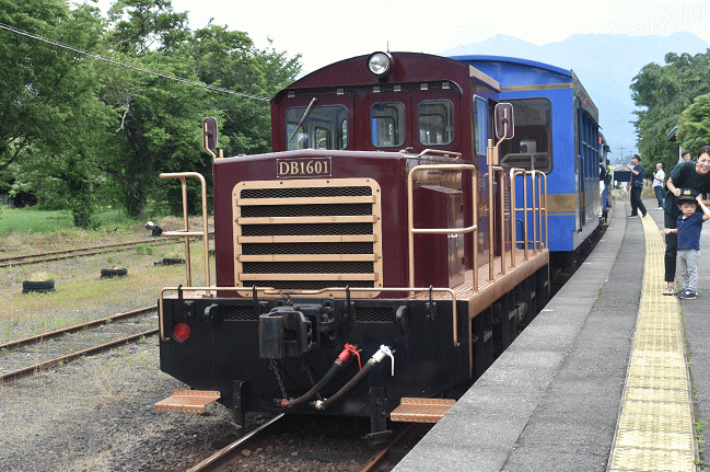 トロッコ列車「ゆうすげ号」