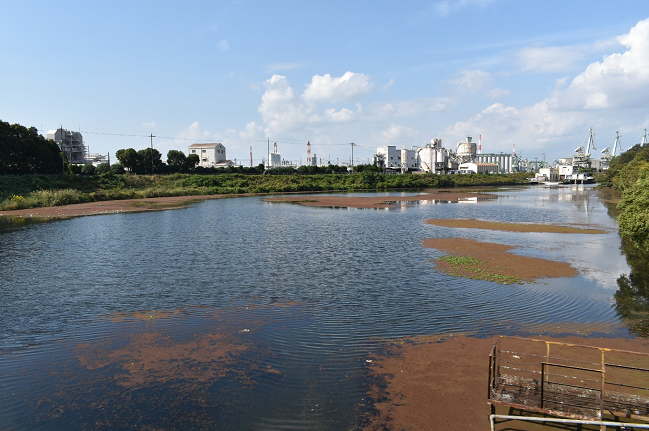 港東線の車窓風景