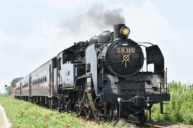 「SLもおか号」を西田井駅の付近の踏切で撮影