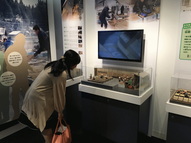 かんてんかんの展示