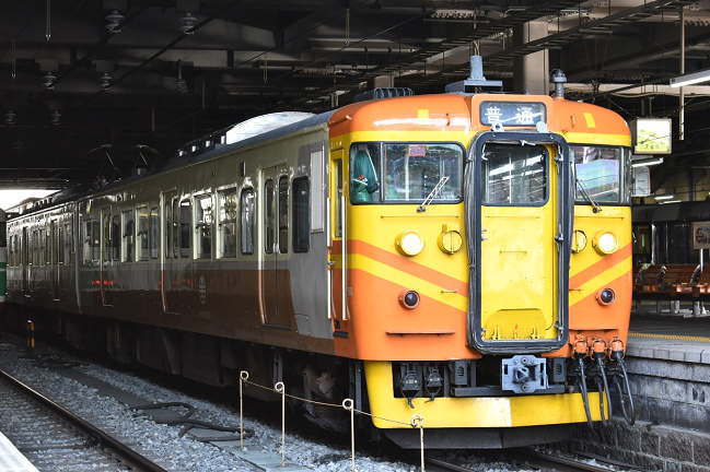 台鉄自強号色の115系(長野駅)