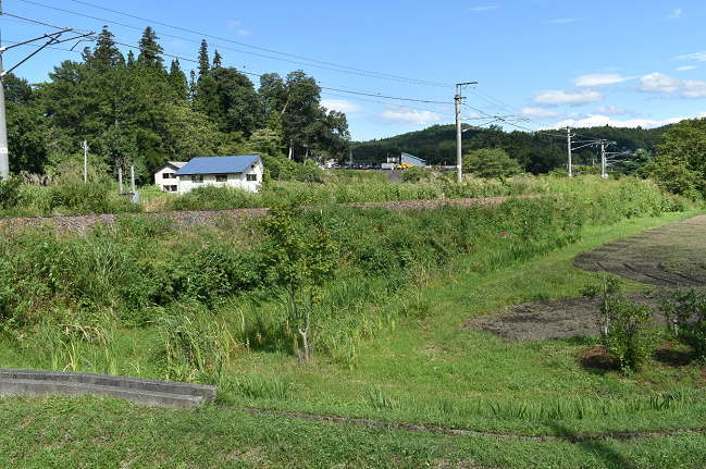 黒姫駅から約1㎞の川原踏切の撮影地