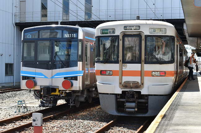 313系と甲種輸送の共演