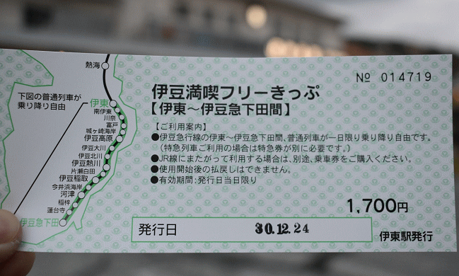 伊豆満喫フリーきっぷ