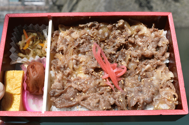 若狭牛ぎゅうめし弁当