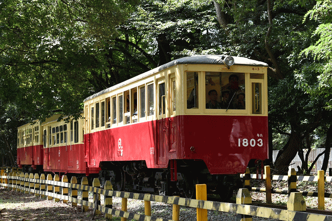 なかよし鉄道のキハ3の3両編成の運行