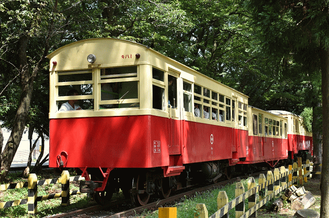 なかよし鉄道は全線で木に覆われる