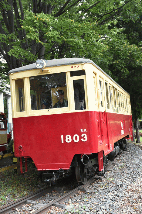 「なかよし鉄道」で運転されるキハ3
