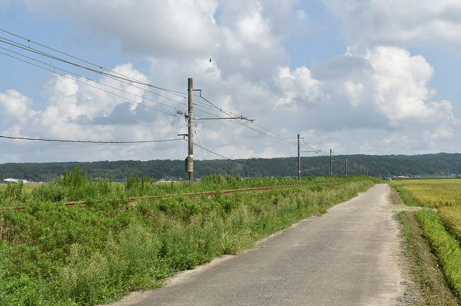 七尾線の撮影地