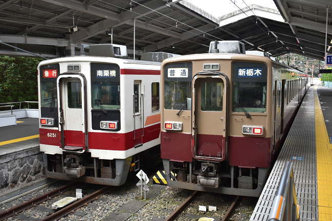 6050型・通常塗色とリバイバルカラー