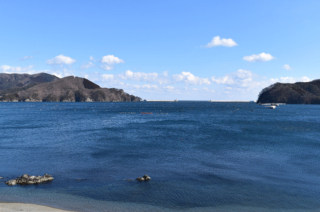 下船渡～細浦間で大船渡湾