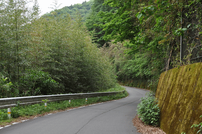 三江線に並行する道路