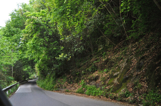 国道375号線の状況