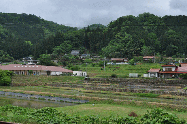 石見都賀駅から見た三江線沿線の里山風景