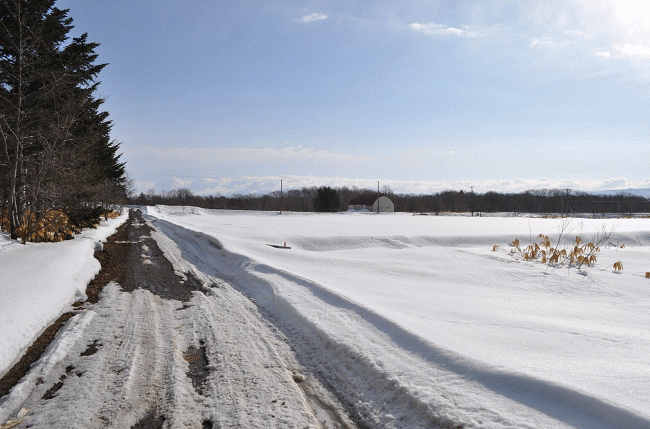 3月の雪解け時の札沼線沿線