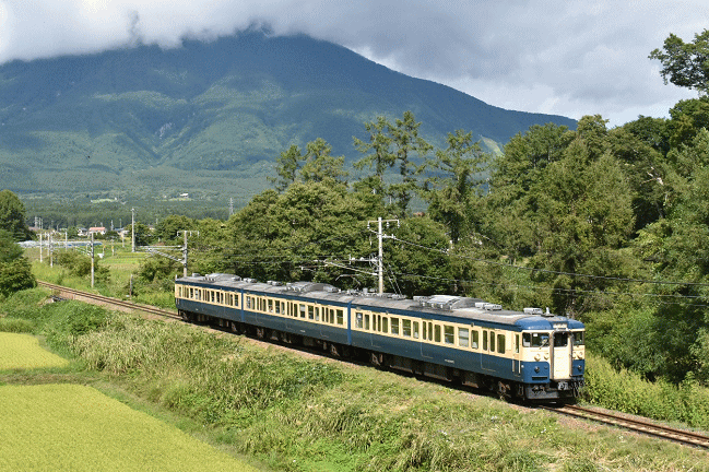 115系スカ色を撮影