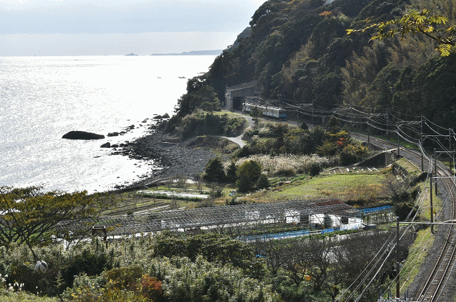 志津摩バス停付近で伊豆急下田行普通列車を後追いで撮影