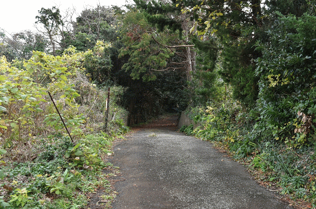 撮影地に至る小道