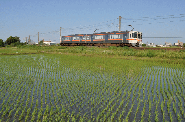 白鳥信号所の撮影地の雰囲気