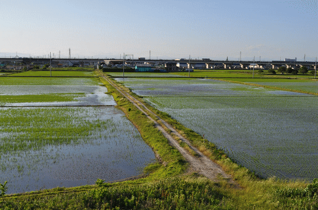 永和駅跨線橋から北側ののどかな風景
