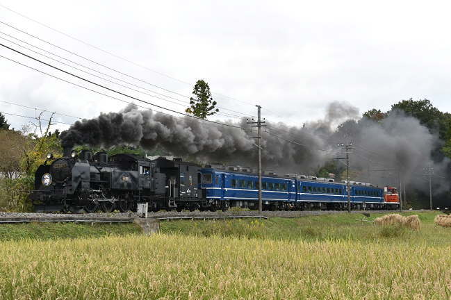 鬼怒川線からSL大樹を撮影