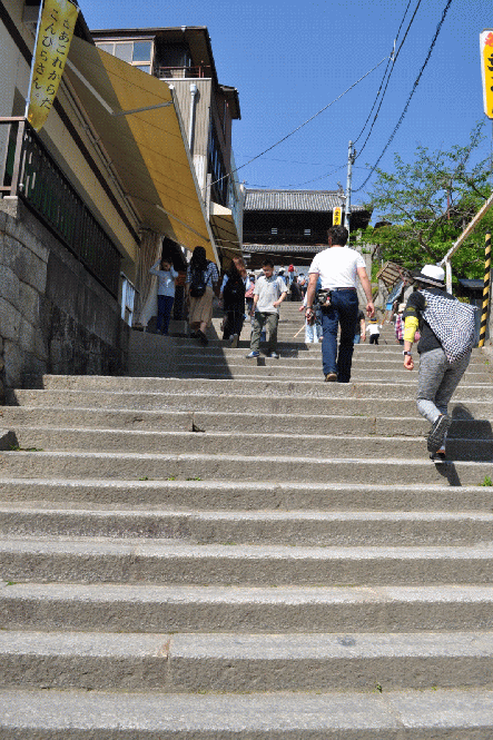 金刀比羅宮の石段