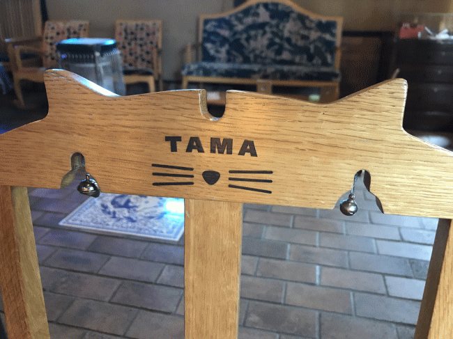 たまカフェの店内