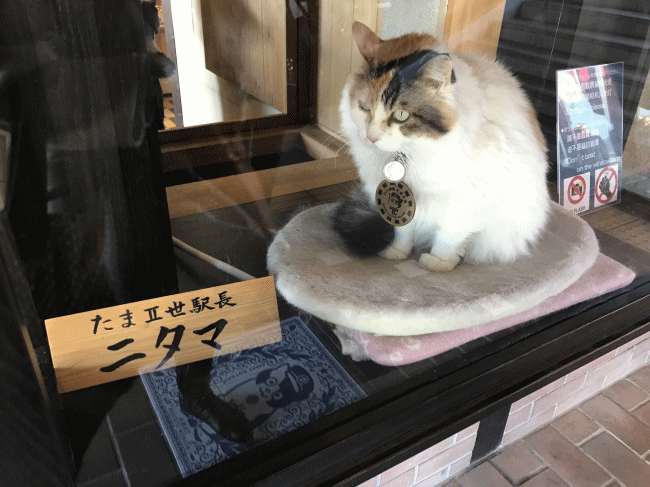 貴志駅のニタマ駅長