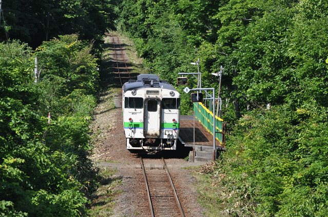 撮影地より、豊ヶ岡駅に停車したキハ40を撮影