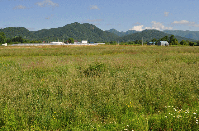 豊ヶ岡駅近くの風景