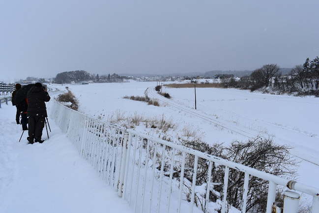 津軽鉄道の撮影ポイント（津軽中里付近）