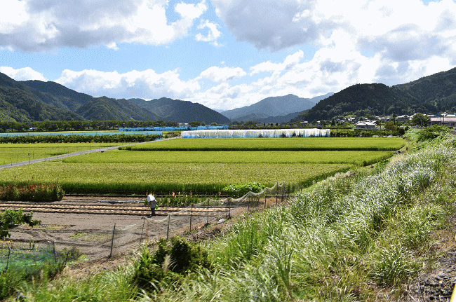 若桜鉄道の車窓