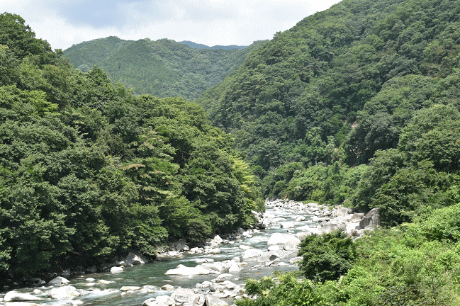 原向～沢入間の車窓風景