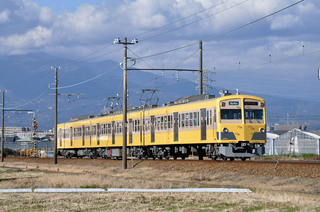 イエローパラダイストレインを撮影