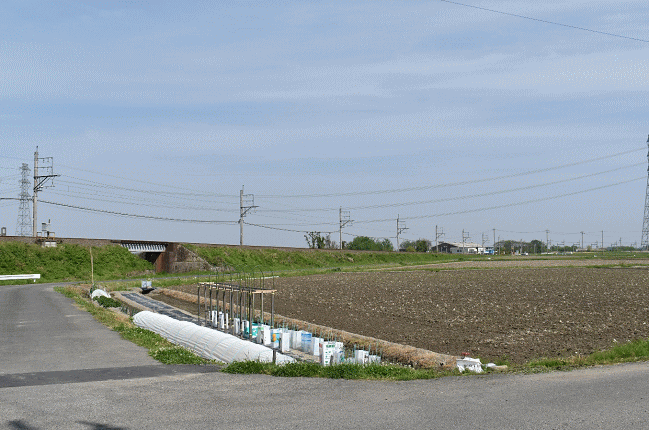 美濃津屋駅から500ｍほどの築堤の撮影地