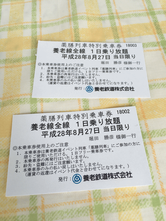 薬膳列車特別乗車券（1日フリーきっぷ）